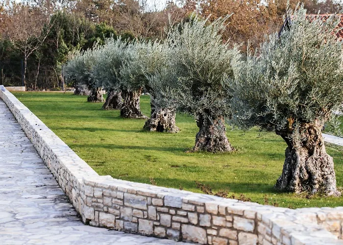 Willa Marta Zadarvillas