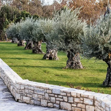 Villa Marta Zadarvillas