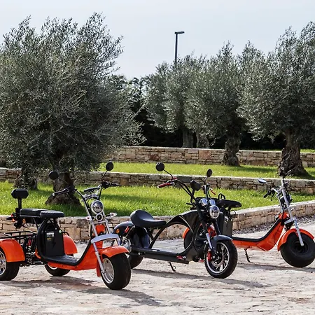 Villa Marta Zadarvillas *